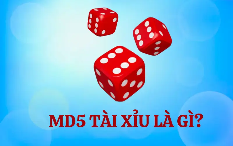 Bật mí cách đánh MD5 tài xỉu không bao giờ thua từ cao thủ 1 Định nghĩa về MD5 tài xỉu
